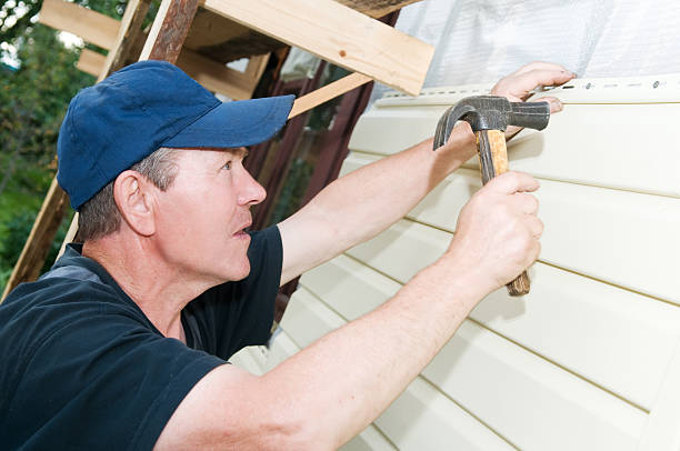 Reliable University Of Virginia, VA Siding Solutions